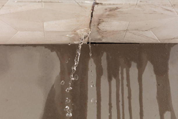 Professional Structural Drying technician working in Waterloo, WI